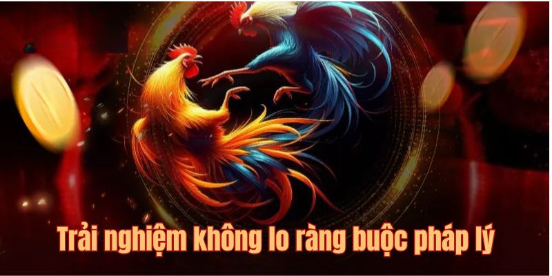Chơi đá gà trực tiếp casino người chơi không cần lo về pháp lý