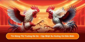 Tin Nóng Thị Trường Đá Gà - Cập Nhật Xu Hướng Và Diễn Biến